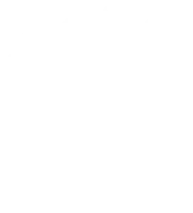 logo uerj branca