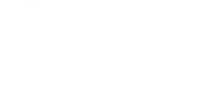 logo ufmg branca scaled