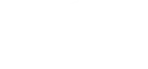 logo ufrb branca